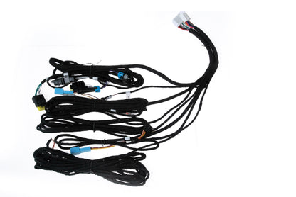 Intelligent Electric Tailgate